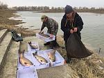 Нажмите на изображение для увеличения. 

Название:	5 (1).JPG 
Просмотров:	234 
Размер:	105.4 Кб 
ID:	11317