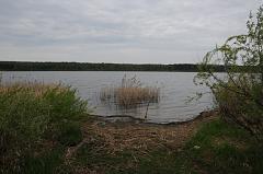 DSC 7300