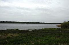 DSC 7307