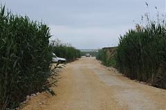DSC 7608