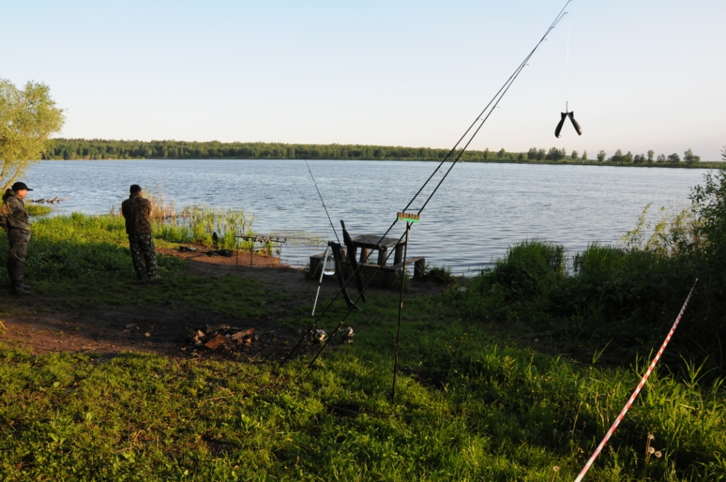DSC 8542
Сектор ? 1.