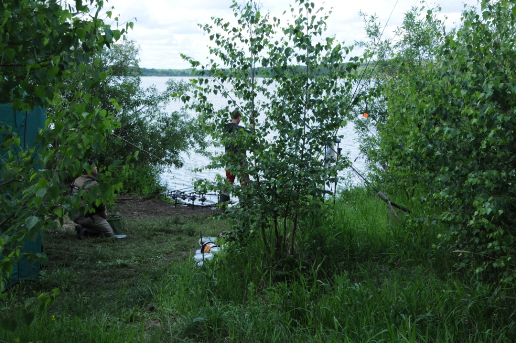 DSC 8649
Сектор ?8.