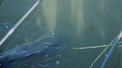 ������� �� ����������� ��� ����������.&nbsp;

��������:	DSC00103.JPG&nbsp;
����������:	21&nbsp;
������:	96.8 ��&nbsp;
ID:	1872