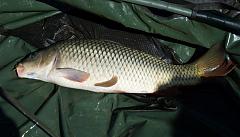 ������� �� ����������� ��� ����������.&nbsp;

��������:	DSC00106.JPG&nbsp;
����������:	13&nbsp;
������:	151.2 ��&nbsp;
ID:	1881