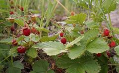 ������� �� ����������� ��� ����������.&nbsp;

��������:	DSC00138.JPG&nbsp;
����������:	17&nbsp;
������:	177.0 ��&nbsp;
ID:	1893