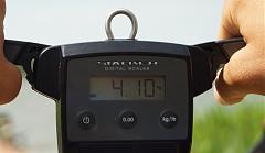 ������� �� ����������� ��� ����������.&nbsp;

��������:	DSC00209.JPG&nbsp;
����������:	19&nbsp;
������:	106.9 ��&nbsp;
ID:	1920