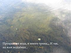 Нажмите на изображение для увеличения. 

Название:	666.jpg 
Просмотров:	73 
Размер:	87.7 Кб 
ID:	338