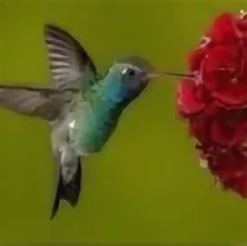 ������ ������ 2026 02 25 175714