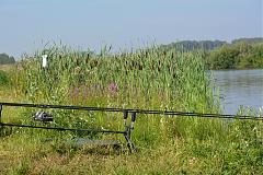     . 

:	DSC_0292.JPG 
:	31 
:	13.07  
ID:	5374